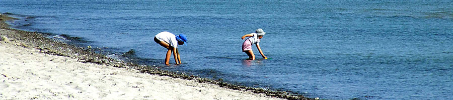 www.schlei-ostsee-urlaub.de