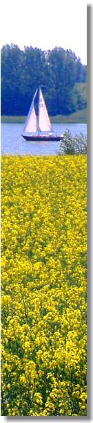 www.schlei-ostsee-urlaub.de