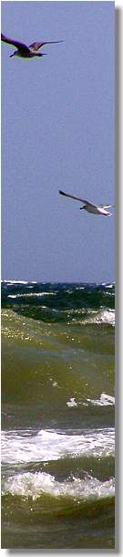 www.schlei-ostsee-urlaub.de