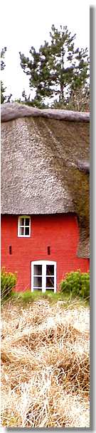 www.schlei-ostsee-urlaub.de