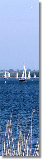 www.schlei-ostsee-urlaub.de