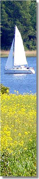 www.schlei-ostsee-urlaub.de