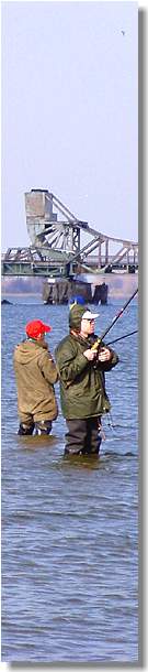 www.schlei-ostsee-urlaub.de