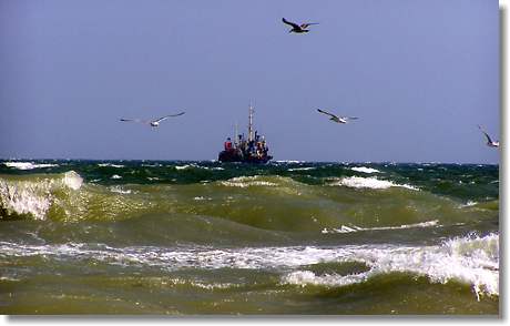 Ostsee - Frühjahrssturm