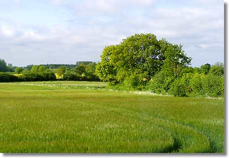 Schleswig-Holstein: Einfach schön