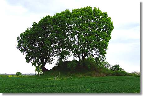 Grabhügel in Schaalby