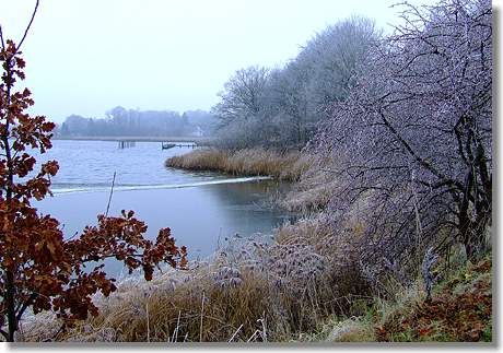 Winter an der Schlei