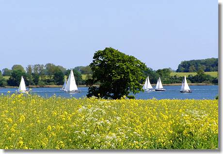 Ostseefjord Schlei