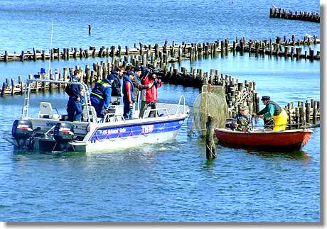 Kappelner Heringstage und der NDR Kappelner Heringstage und der NDR
