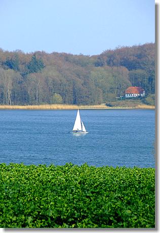 Idylle an der Schlei