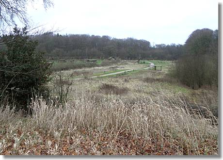 Der Steinzeitpark in Albersdorf