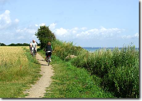 Radfahren an der Ostsee