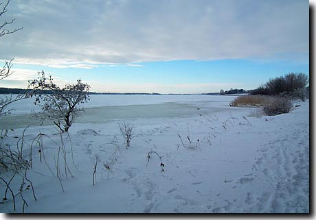 Schneewinter an der Schlei