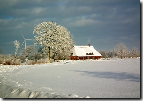 Winterlandschaft an der Schlei