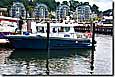 Das Polizeiboot Duburg in Flensburg