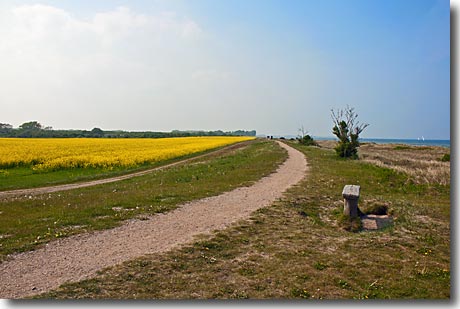 Rad- und Wanderweg an der Ostsee