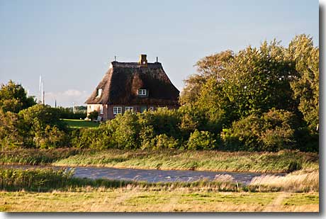 Die Schwonsburg an der Schlei