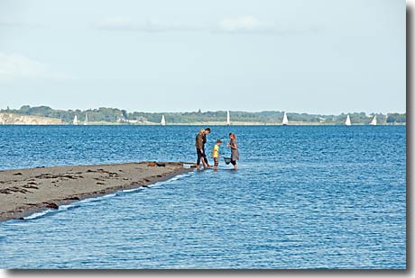 Fische keschern am Ostseestrand