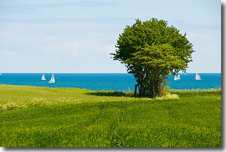 Zwischen Schlei und Ostsee (Fotowettbewerb 2014)