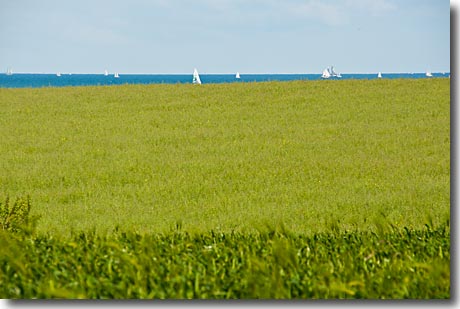 Grüne Felder an der Ostsee