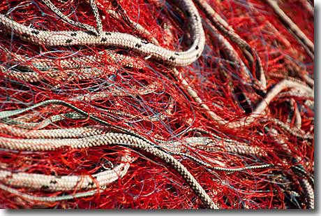 Das rote Fischernetz