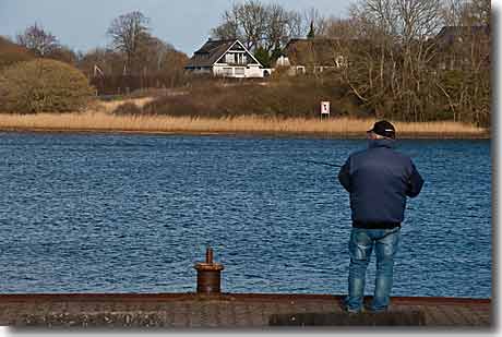 Einsamer Heringsangler an der Schlei Einsamer Heringsangler an der Schlei