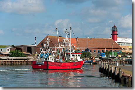 Krabbenkutter im Hafen von Büsum Krabbenkutter im Hafen von Büsum