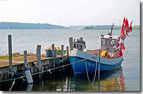 Fischerboot MAA32 in Maasholm an der Schlei