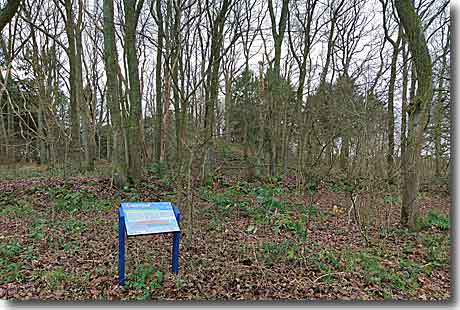 Grabhügel Wolmersdorf in Meldorf Grabhügel Wolmersdorf in Meldorf