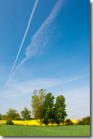 Traumhaft - Rapsblüte in Schwansen an der Schlei Traumhaft - Rapsblüte in Schwansen an der Schlei