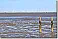 Nordsee-Ebbe bei Husum: Watt & Windpark