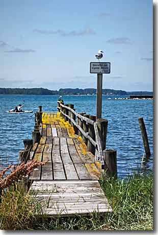 Bootssteg Wackerballig: Idylle an der Ostsee Alter Holzsteg in Wackerballig bei Gelting an der Ostsee mit einem Schild Betreten auf eigene Gefahr, einer Möwe und Stand-up-Paddlern im Hintergrund.